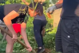 全红婵国庆回老家光脚帮爸爸干农活除草！她早已忘了自己个是冠军图片