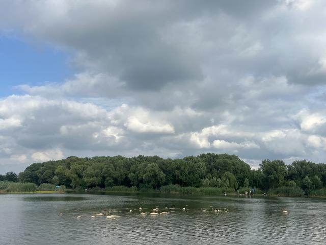 8月石家庄的滹沱河