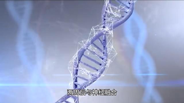 未来已来？我国首例脑机接口“开挂”！偏瘫患者三月逆转，
