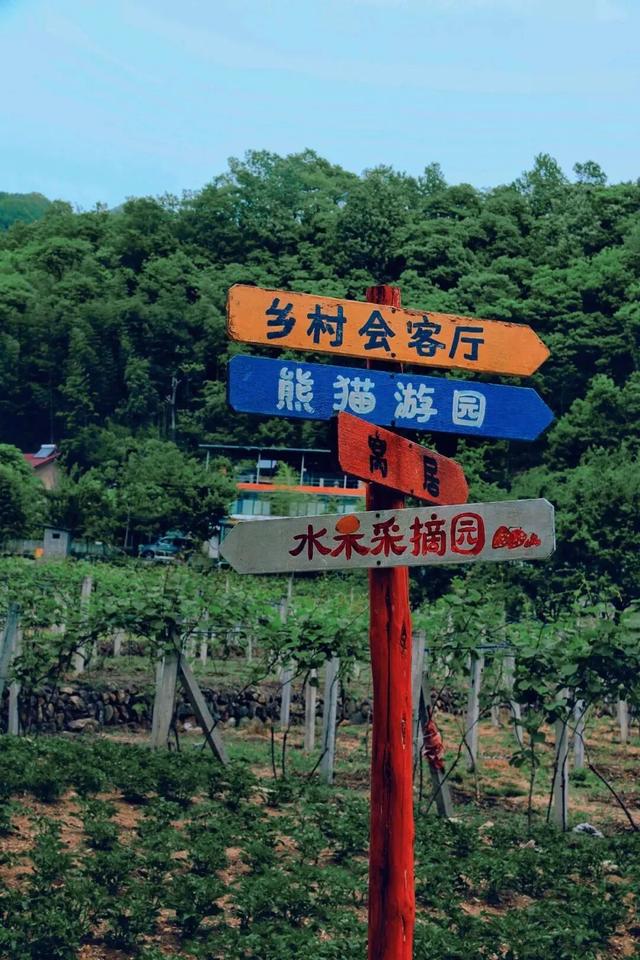 西安向南45分钟！小城撸熊猫、溯溪、看云、发呆，还藏了秦岭第一抹秋色