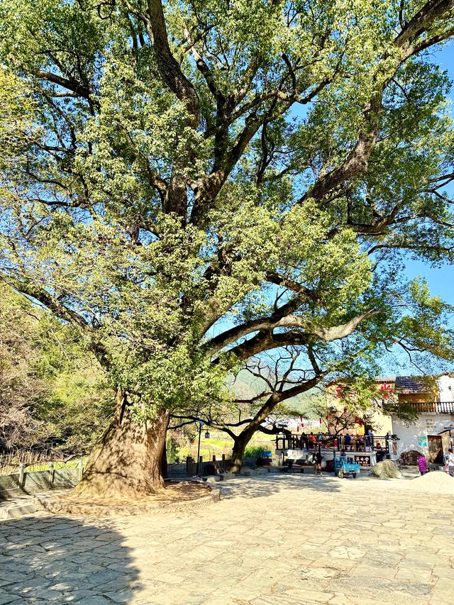 婺里古乡(上饶市婺源县)