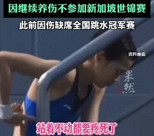 太天真了!本以为全红婵这次退赛，是要告别跳台，结果闷声干大事