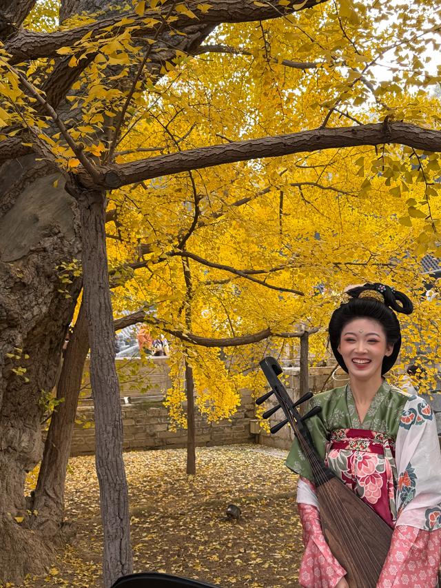 甘撒金缕苒秋寰