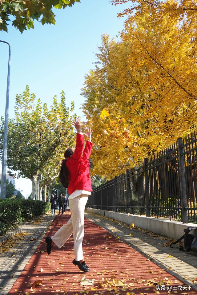 散文丨古银杏树下