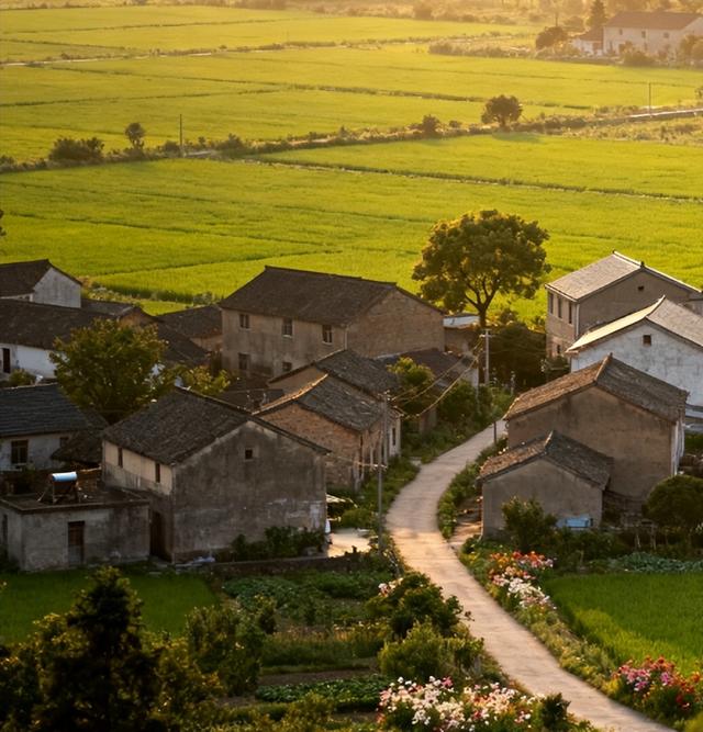 不止石墙！罗马边疆的后勤真相，被女教授用数据扒了个底朝天