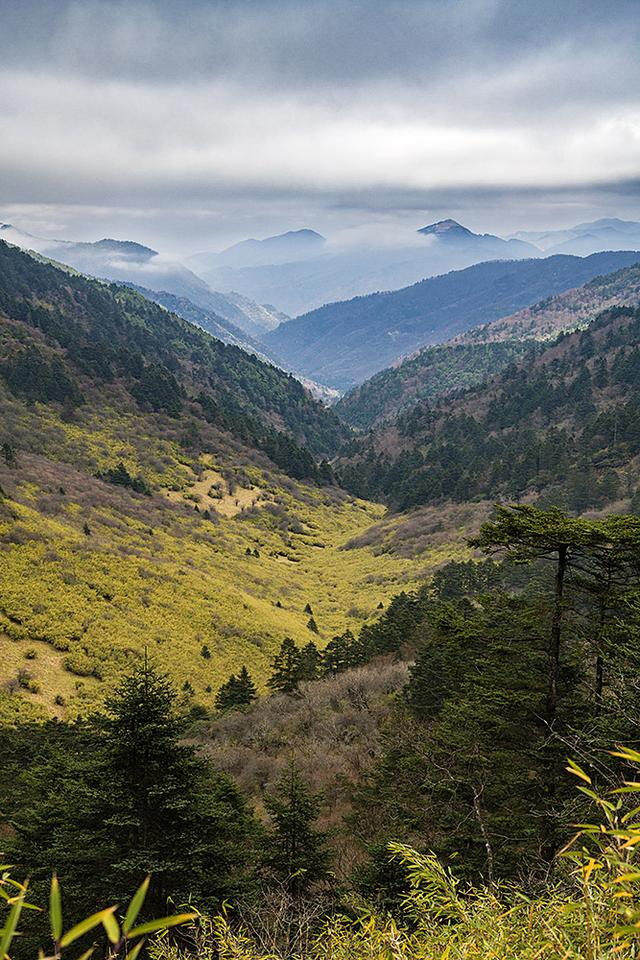 2024深秋四川行19 神农架风景区2 华中屋脊的五彩秘境