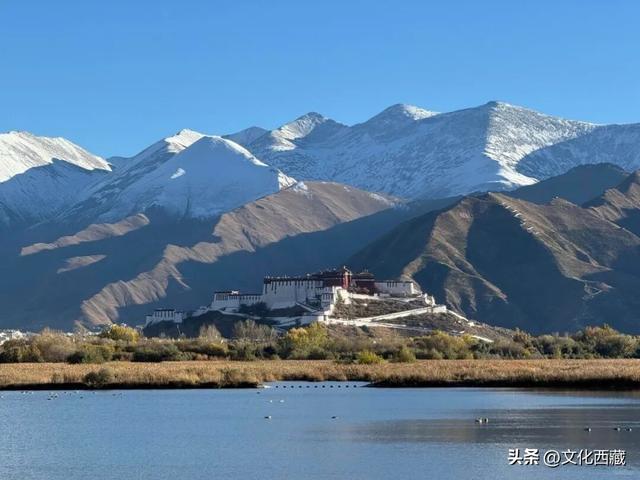 下次有朋友去拉萨，除了布达拉宫，请告诉他一定要逛逛这里