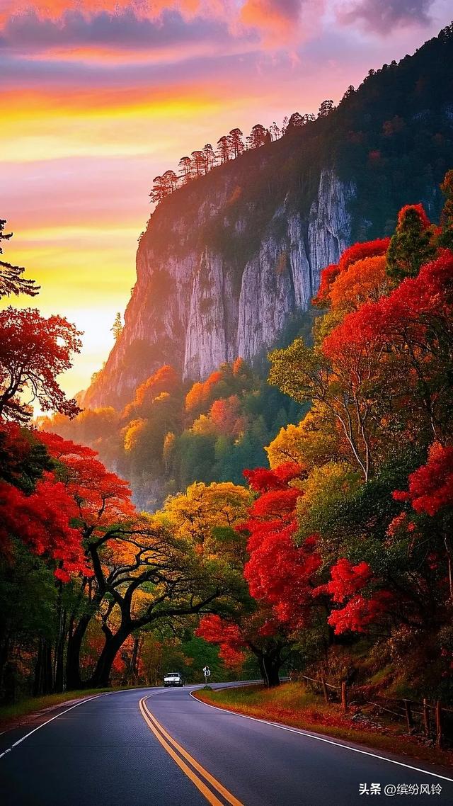 看看风如何把秋酿成诗