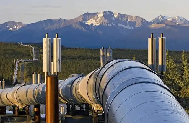 普京坐不住了？五常仅中国未入场，美媒惊曝：中国正抄底俄罗斯？