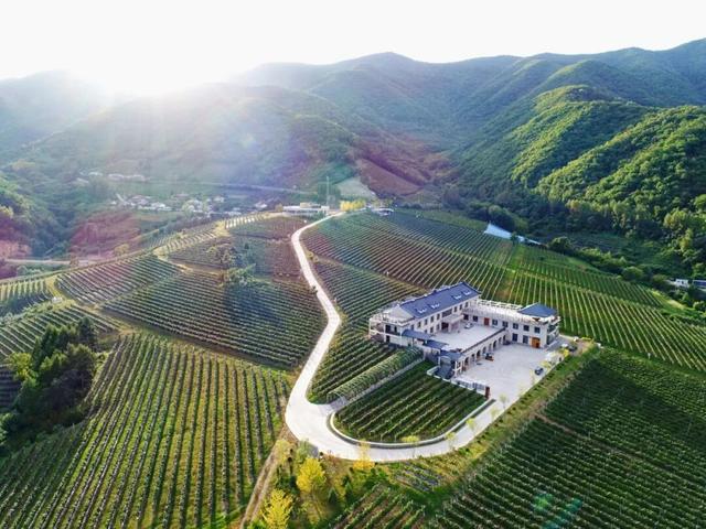 通化：打造“金秋”文旅盛宴 激活消费新动能