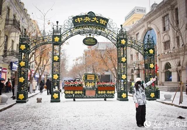 哈尔滨的雪，怎么这么会下！