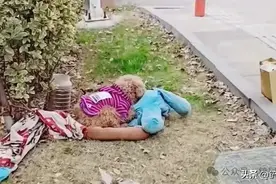 女子把泰迪扔到路边后，竟独自驾车离去，可怜的狗狗不停的哀嚎。图片