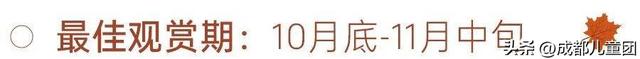 成都不远！这三个地方的红叶，美得很超过！