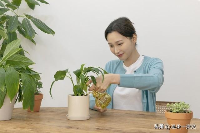 不管你信与不信，女性过了60岁后，基本都有如下几个方面的需求！