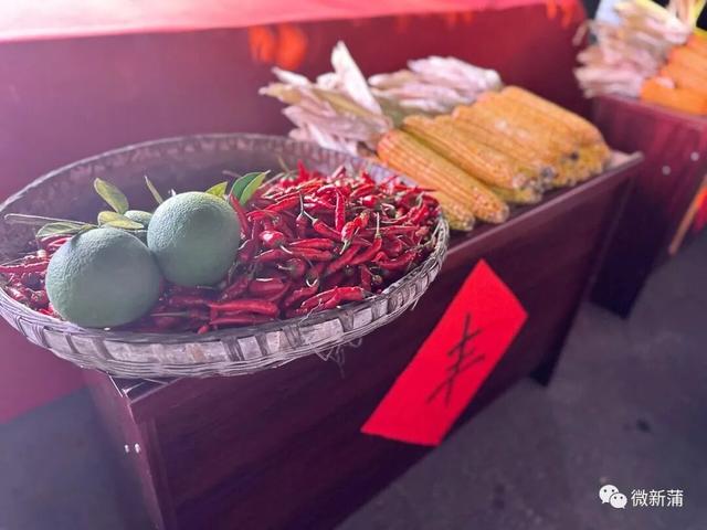 悦·遵义 | 双节同庆，嗨翻新蒲！2025 国庆中秋超全活动攻略来袭