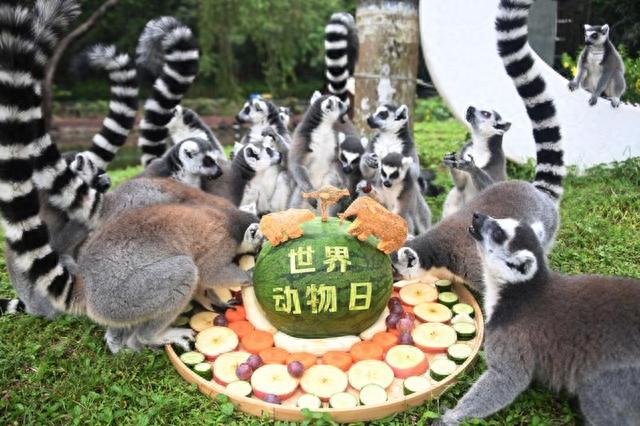 深圳野生动物园旅游攻略(7号线去往深圳野生动物园)