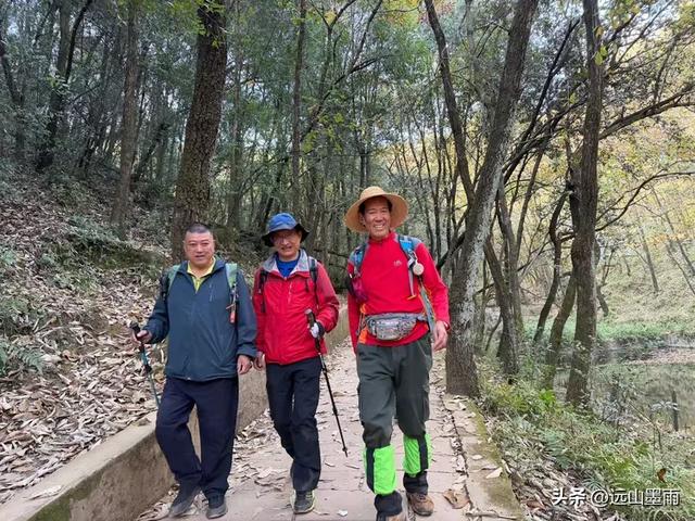 阳光明媚的冬日里,我们爬山去,逛陡坡村、看冬樱花,做晴朗的事