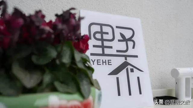 天晴就去！鸥鸟翩跹，这个免费国家级公园，藏着昆明最美的冬天