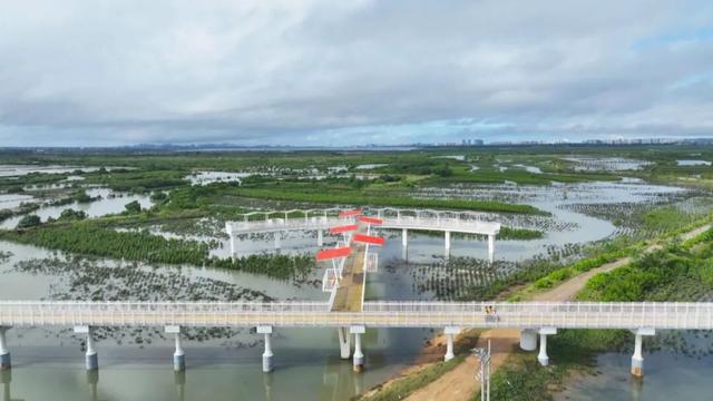 儋州新增新打卡点，这条路正式通车！