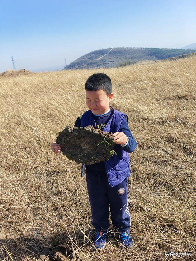 周末登山---红山寨