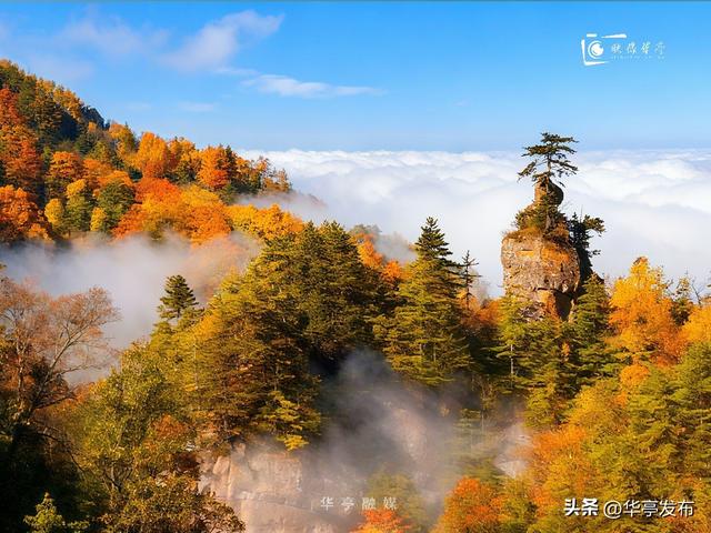 【映像华亭】华亭秋日，佐以人间烟火
