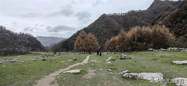 秦岭狮子沟牧场&牛奶湖