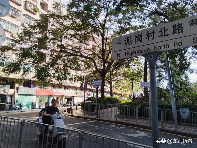 从地铁口出发,游逛刚刚开放的鲲鹏径二号及三号桥