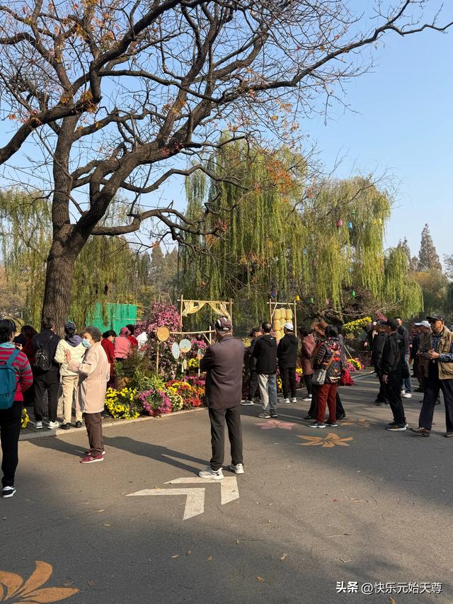 我一上午去了两个公园，