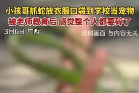 笑哭！广西熊孩子抓蛇带到学校，本以为是悲伤故事，笑死在评论区图片
