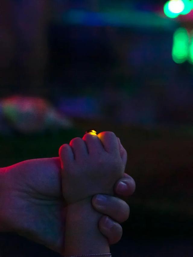 萤火星河：把银河揉碎撒进人间