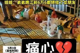 “胖猫”火了重庆，舆论热点关注改变了什么？图片