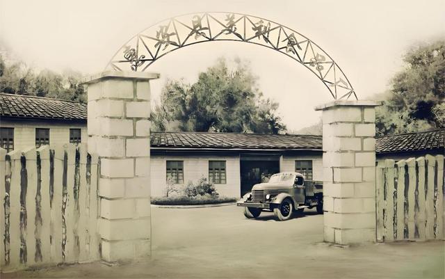 180亿，福建女首富正式接班了！达利食品要做“食品之王”？