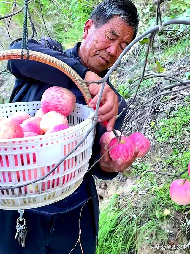 自驾豫西山区，寻找河南最好吃的苹果，吃货必追的寻味线路