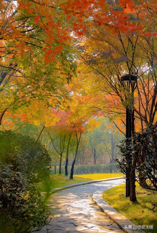 拥堵预警！这周末大家都去......