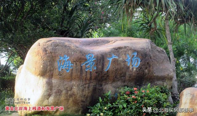 逐个数一数北海现在颇有名气的越冬旅居“候鸟乐园”