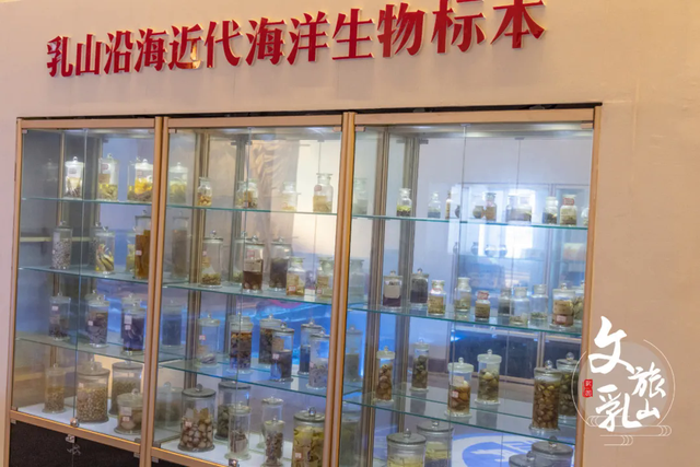 「冬游乳山」48小时蚝味之旅：沉浸式解锁乳山滨海的鲜与趣