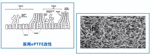 当PTFE“膨胀”后：ePTFE的微观世界与跨界旅程