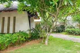 老话“门口栽五树，三年一场哭”，门口不能栽什么树？图片