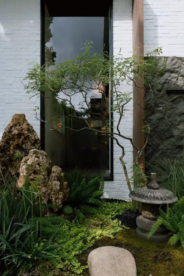 南星新晋打卡地!一片治愈系花园,拍照遛弯都满分