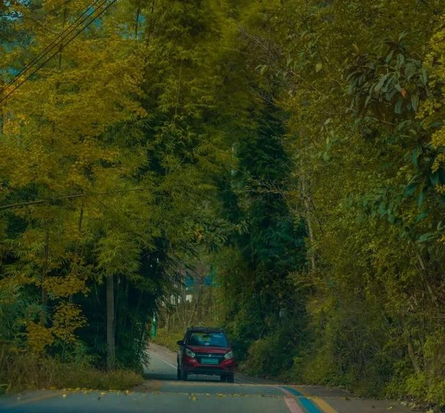 彭州这条“世界级”徒步线，走起！