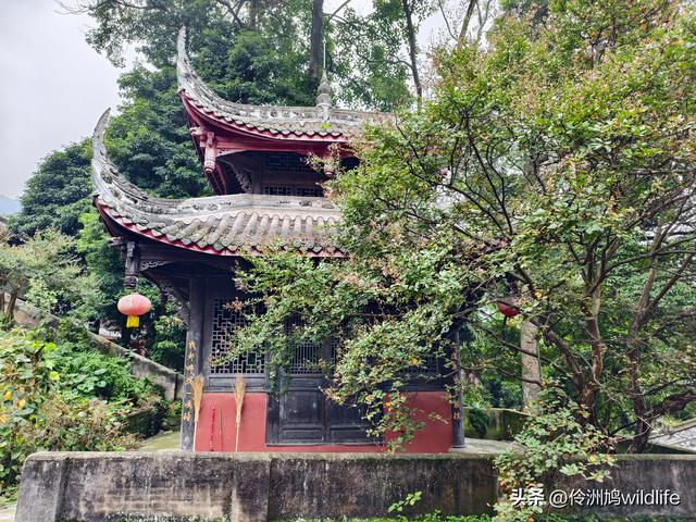 成都徒步（69）·彭州篇⑯法藏寺环线（桥断未走通）