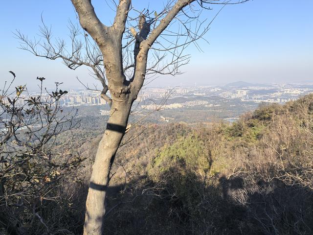 南京紫金山郊野徒步