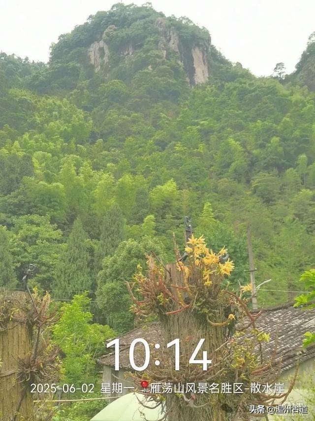 暑假倒计时!温州这几处好玩的地方你都去过了吗?