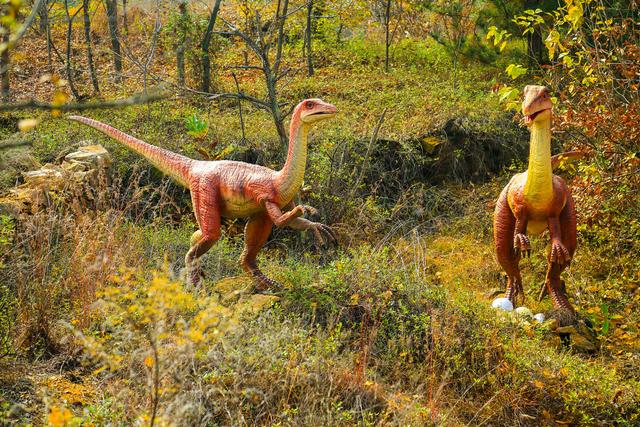 泗水县万紫千红旅游区：静谧而斑斓的生态画卷