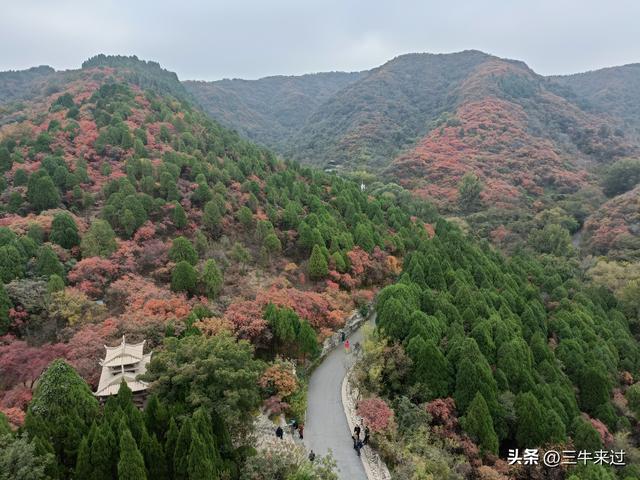 无为在歧路，济南红叶谷