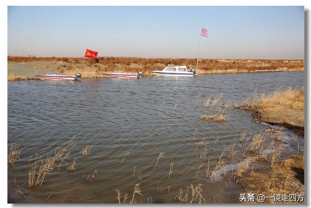 深秋时节，走进长春农安的波罗湖湿地