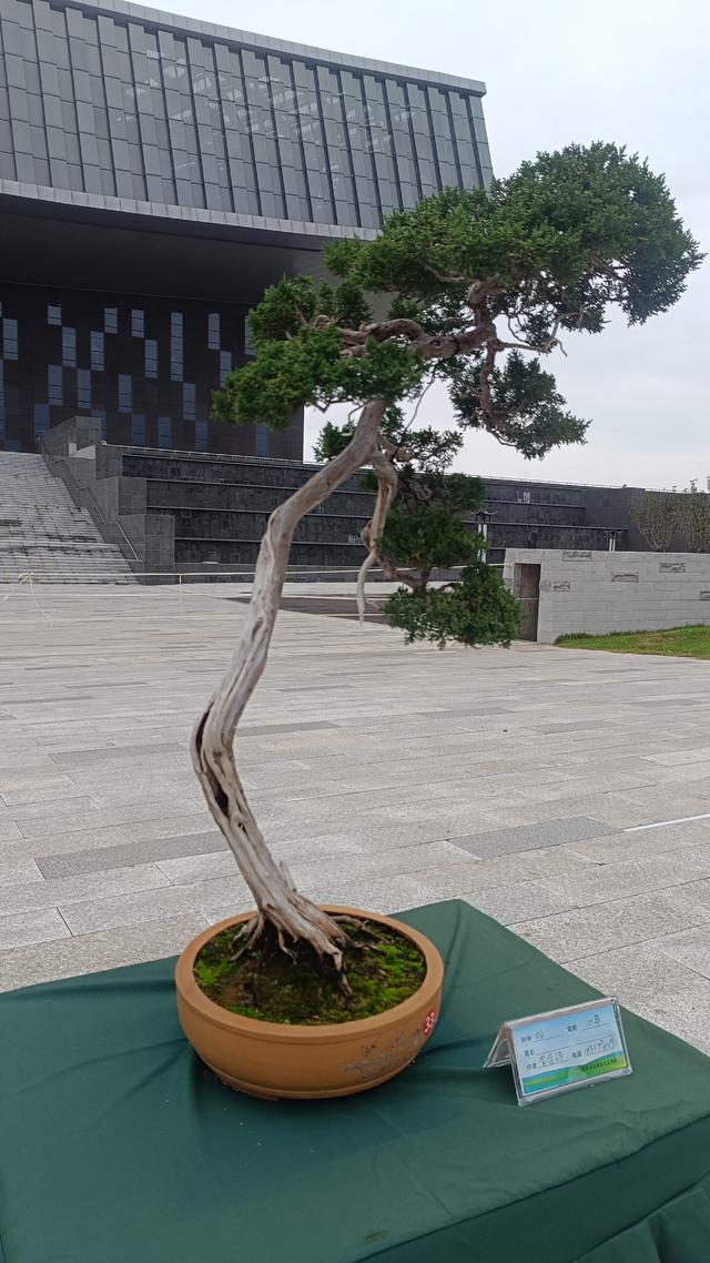 洛阳伊滨花境园缤纷世界等你来