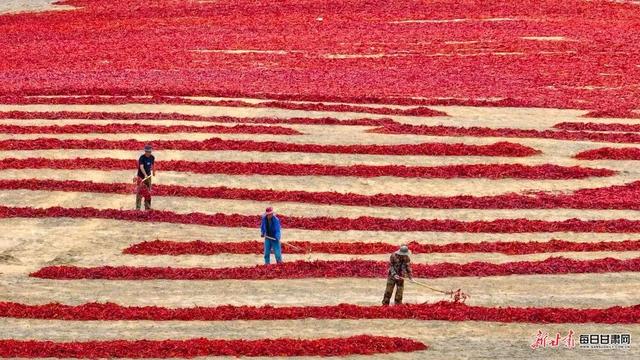 国庆来甘肃！敦煌壁画、张掖丹霞… 那抹“中国红”美到心坎里