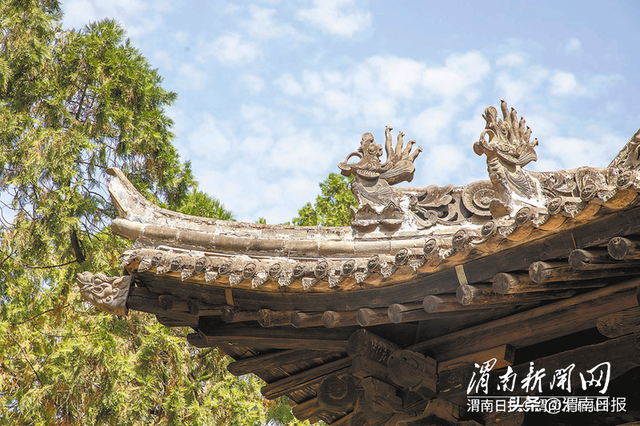 古村寻根丨白水武庄村 红旗猎猎古巷深 星火灼灼铸村魂