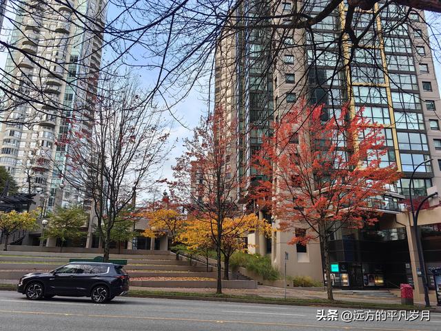 温哥华游记（一）